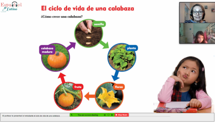 Español Latino - Kids activities in Marietta, GA