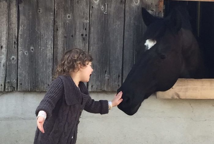 Winding Hill Stables - Kids activities in Northport, NY