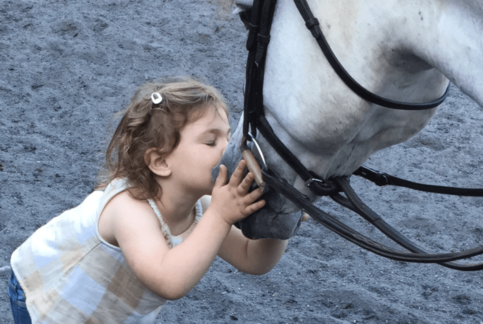 Winding Hill Stables - Kids activities in Northport, NY