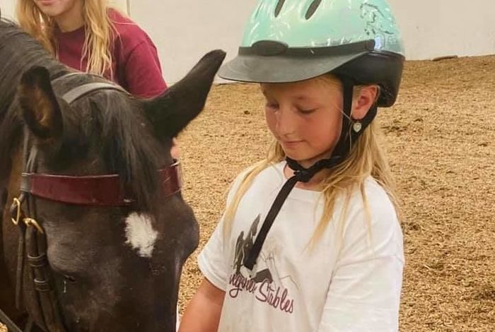 Longview Stables and Riding Academy - Kids activities in Aurora, CO