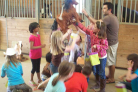RNR Stables - camps in Corinth, TX