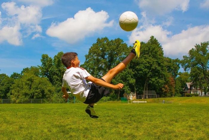  Squire - camps in Hartsdale, NY