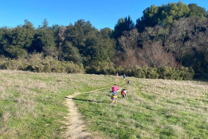 True Roots Nature School Program - camps and classes in Los Gatos