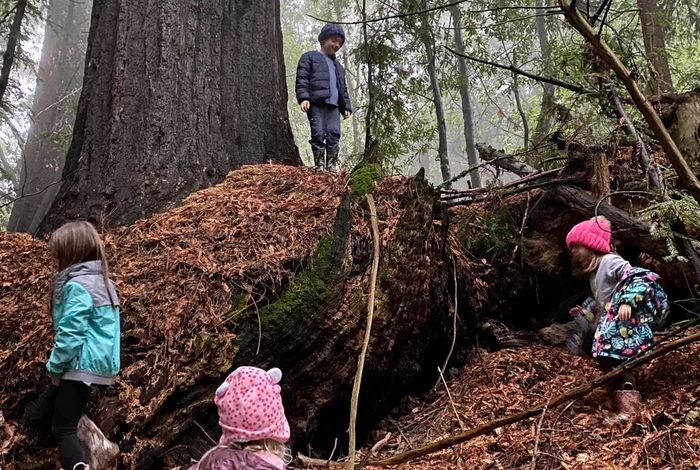True Roots Nature School Program - camps and classes in Los Gatos