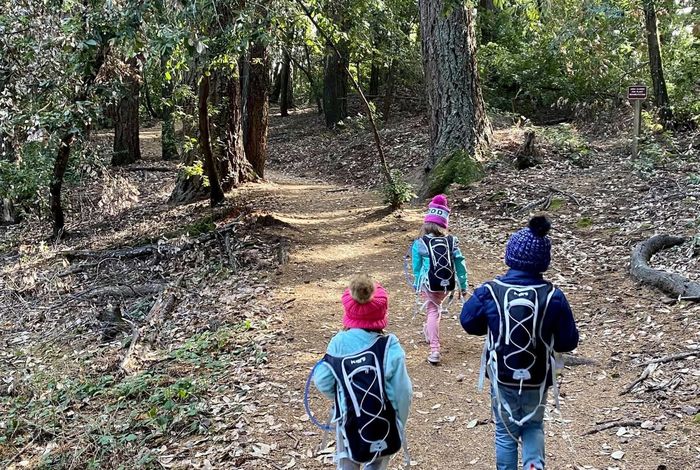 True Roots Nature School Program - camps and classes in Los Gatos