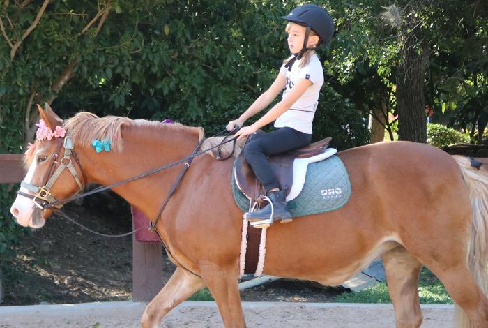 Switch Willo Stables - camps in Austin, TX