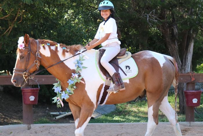 Switch Willo Stables - camps in Austin, TX