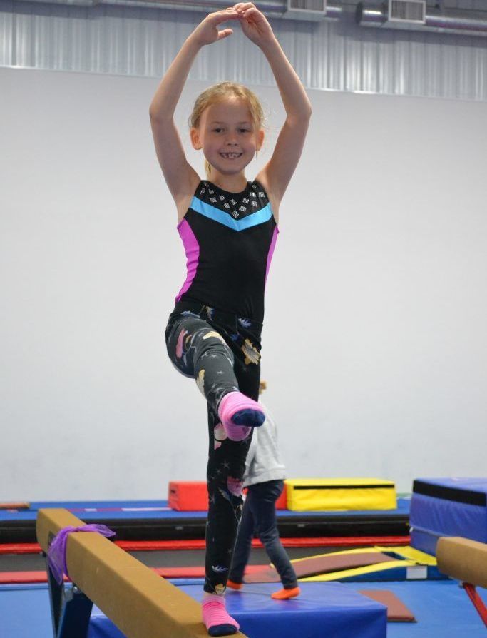 Rochester Gymnastics Academy - camps and birthday parties in Rochester, MN