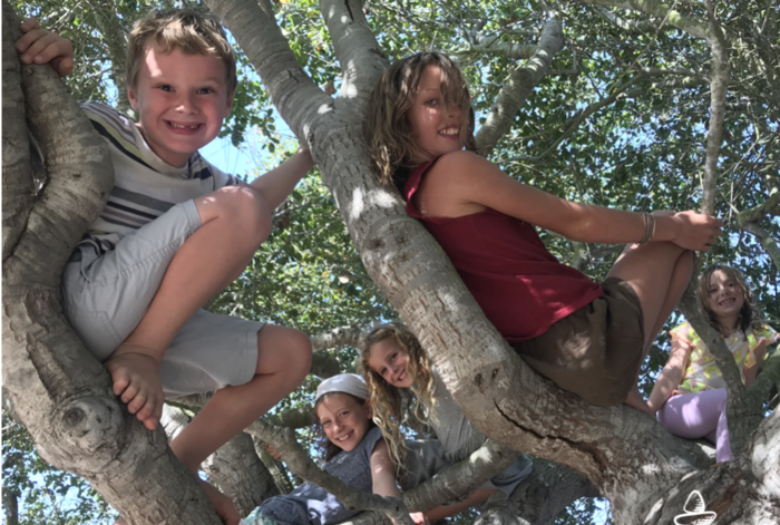 The Ohmapi Nature Project