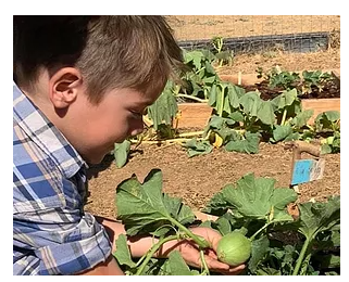 Tree Ranch School LLC - camps in Ojai, CA
