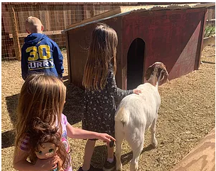 Tree Ranch School LLC - camps in Ojai, CA