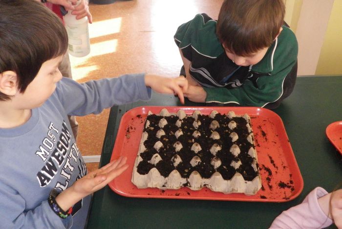 Alaska Pacific University/Kellogg FIELD School - camps in Palmer, AK