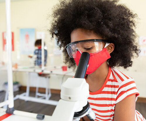 NextWave STEM - camps in Wilmette, IL