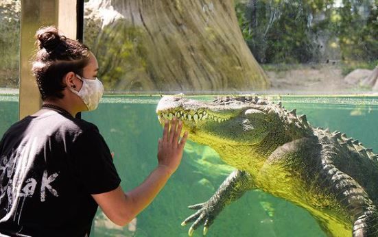 Fort Wayne Children Zoo - Kids activities in Fort Wayne, IN