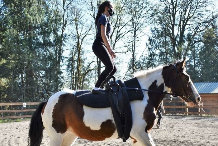 Apex Vaulters - classes in Carnation, WA