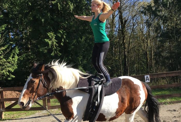 Apex Vaulters - classes in Carnation, WA