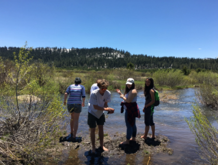 Headwaters Science Institute - camps in Tahoe City, CA