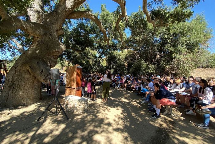 Temple Judea - Kids activities in Los Angeles, CA