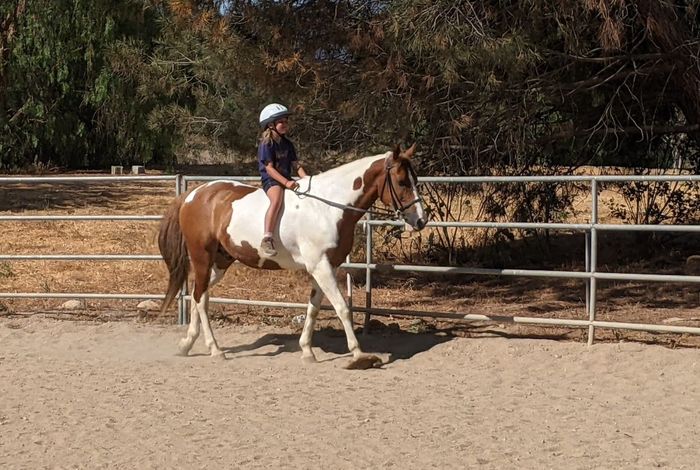 Infinite Horsemanship - camps in Ojai, CA