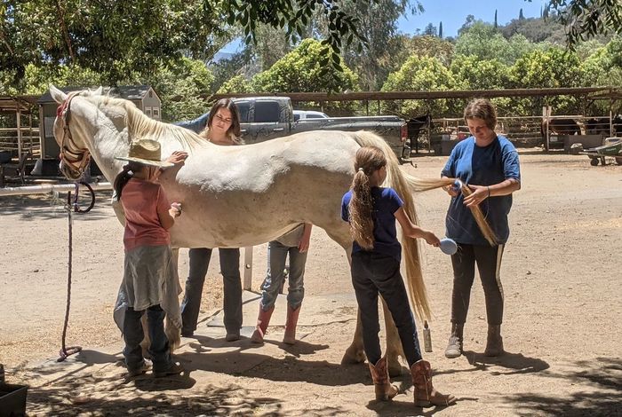 Infinite Horsemanship - camps in Ojai, CA