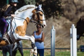 San Pascual Stables - camps in South Pasadena, CA