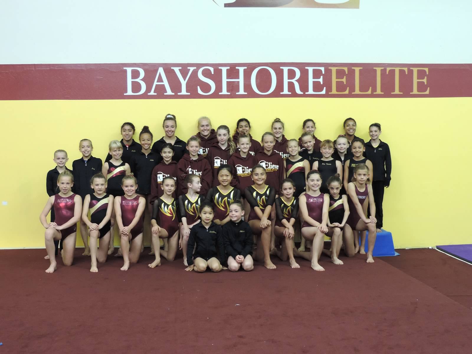 Bayshore Elite Gymnastics And Cheer Schedule Reviews Camps Classes Activityhero