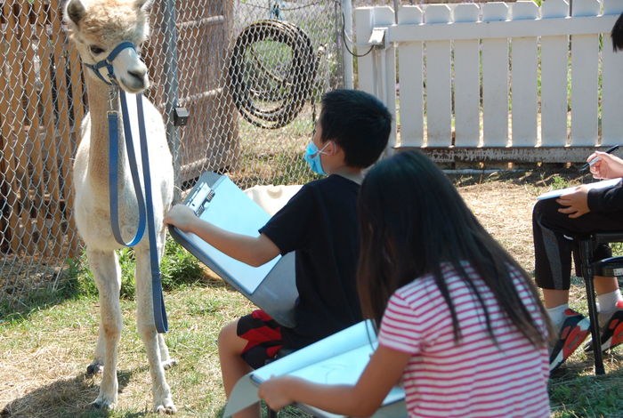 Little Parrot Farm - camps in La Puente, CA