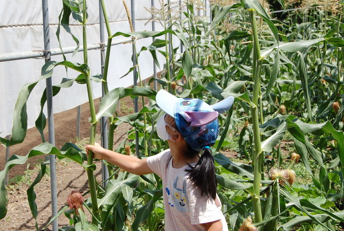 Little Parrot Farm - camps in La Puente, CA