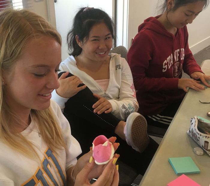 National Institute for Mentoring Business Leaders & Entrepreneurs (NIMBLE) - Kids activities in Los Altos