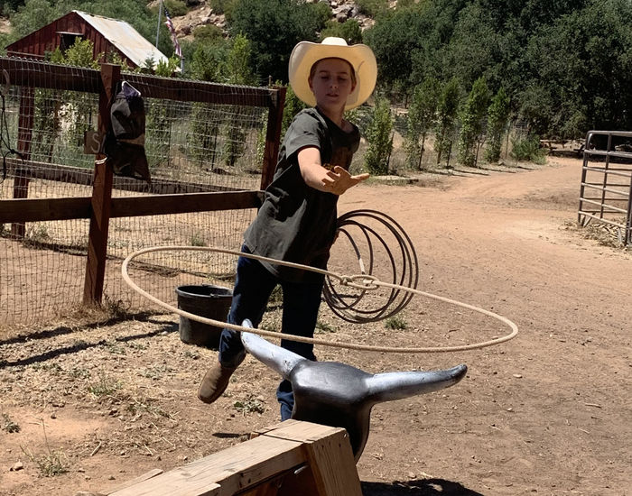 Tree Ranch School LLC - camps in Ojai, CA