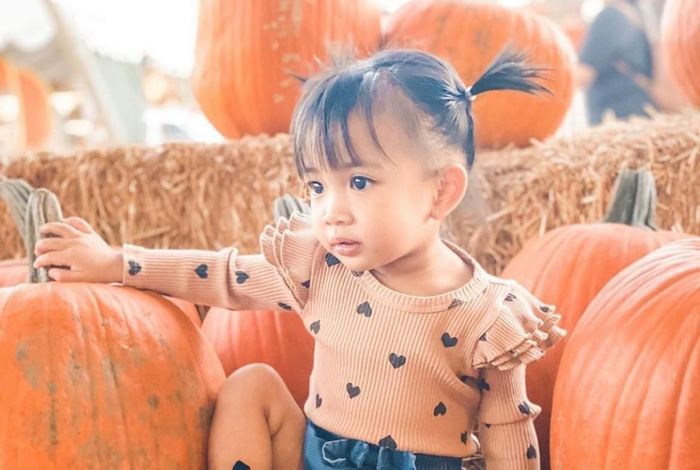 Frosty's Forest & Pumpkin Patch - Kids activities in Chino, CA