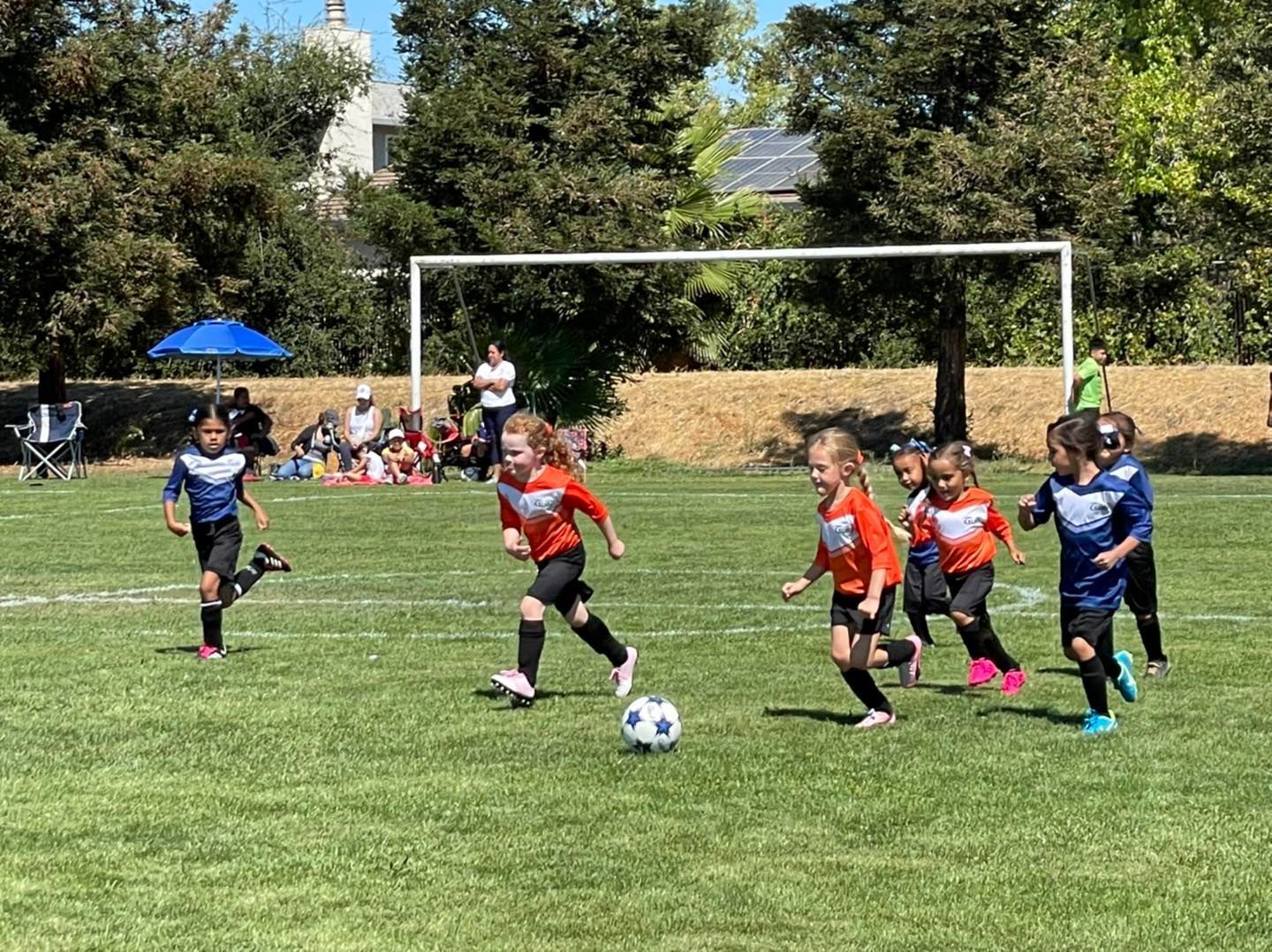 Solano Surf Soccer Club - See 2026 Schedules, Reviews & More |  ActivityHero.com
