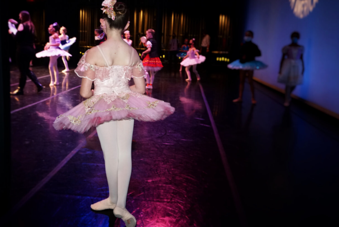Pryntsev Ballet Academy - camps in Laguna Hills, CA