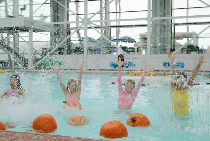 Plunge and Play - camps in San Diego, CA