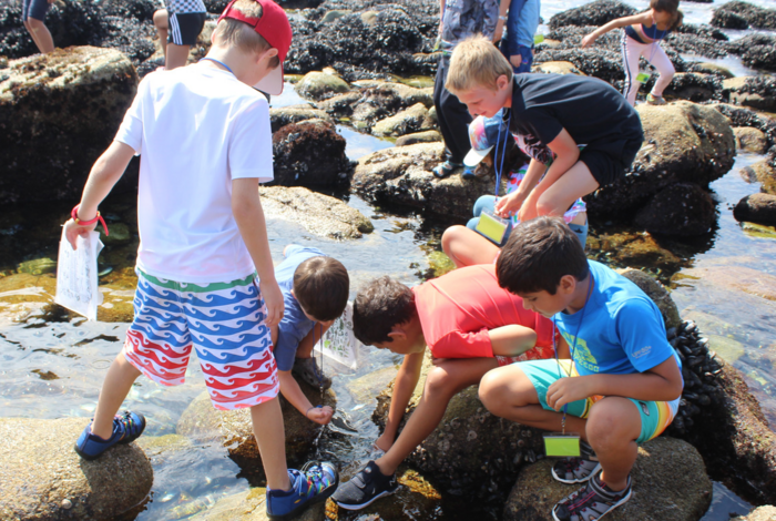 Camp SEA Lab - camps in Pacific Grove, Monterey, Sausalito, Watsonville, Seaside