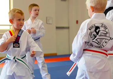 World Class Tae Kwon Do - Kids activities in San Jose, CA
