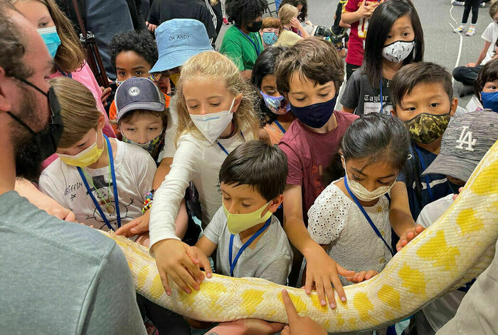 Asteme Learning Center - camps in Los Angeles, CA