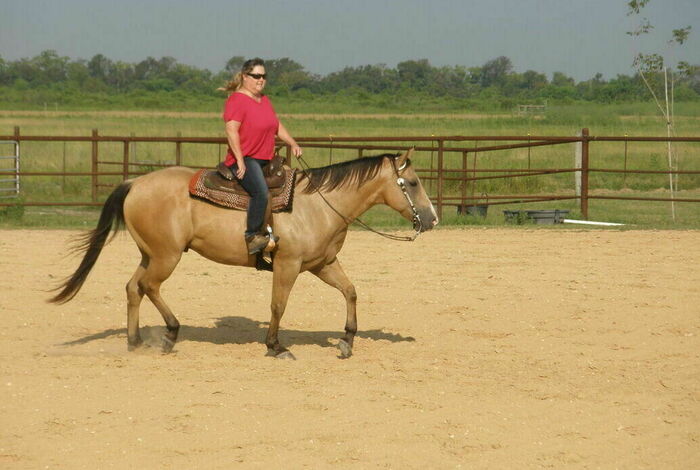 Sundance Ranch - Kids activities in Manvel, TX