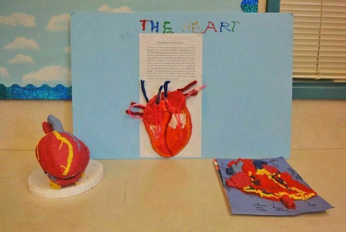 As-Safa Institute/As-Safa Academy - Kids activities in San Jose, CA