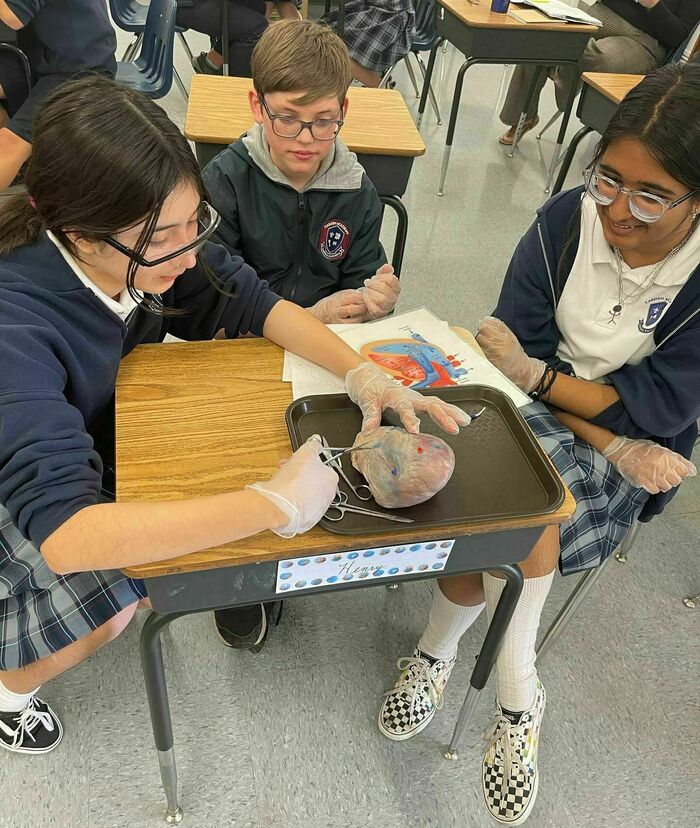 Carden Academy of Whittier - Kids activities in Whittier, CA