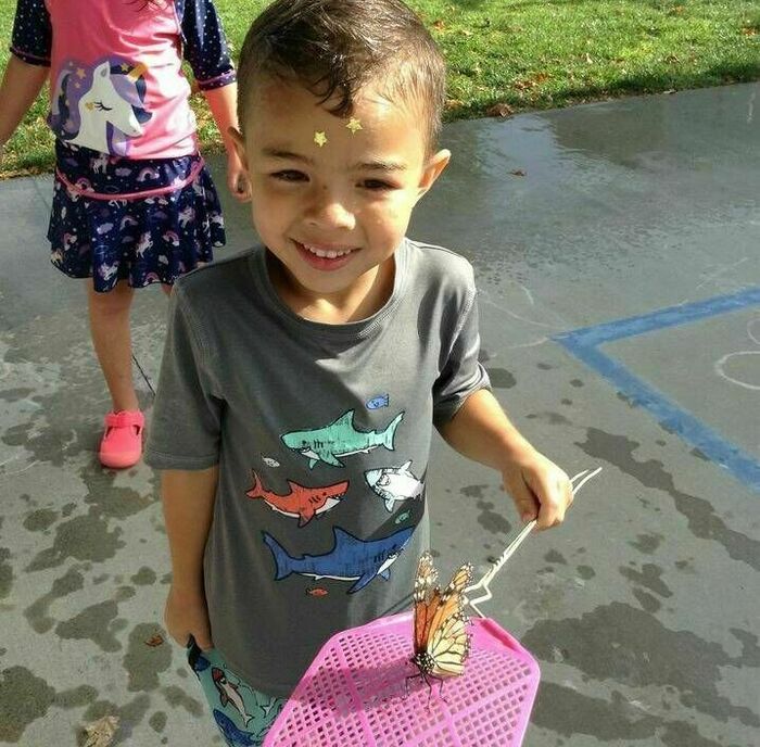Zion Lutheran Elementary - camps in Anaheim, CA