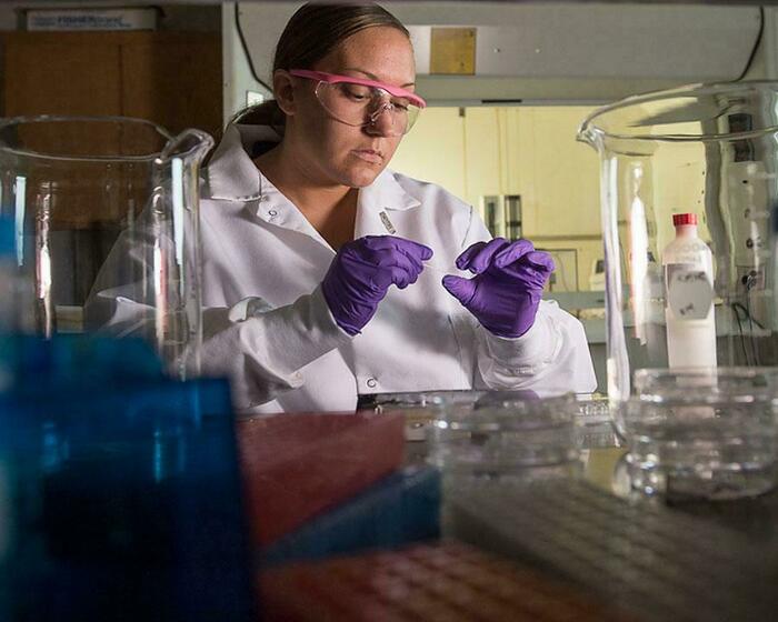 Delaware State University: Summer Academy - Kids activities in Leipsic, DE