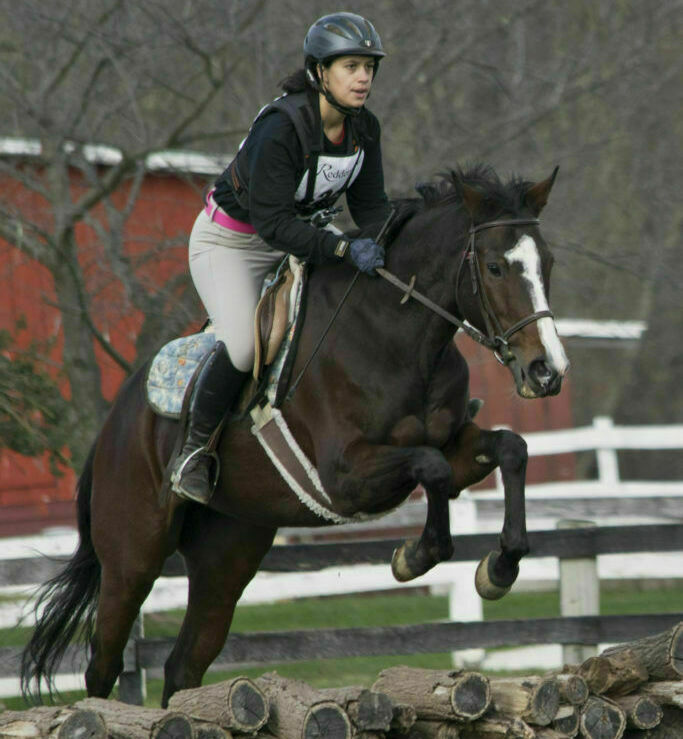 Reddemeade Dressage and Equestrian Center - Kids activities in Silver Spring, MD