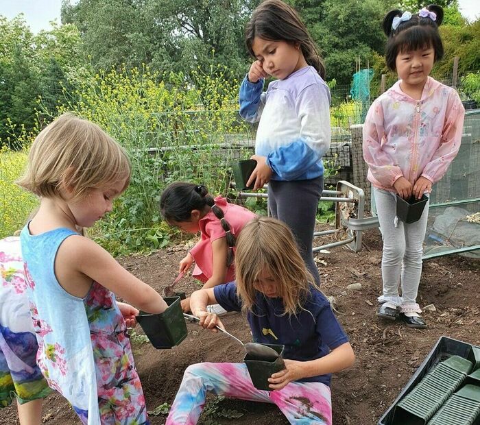 Instilling Goodness Developing Virtue School - Kids activities in Ukiah, CA
