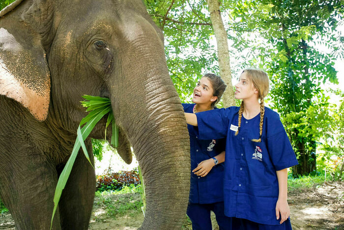 Rustic Pathways - camps in Mentor, OH