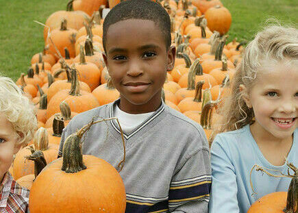 Fallstivities Pumpkin Patch  - Kids activities in Orange, CA