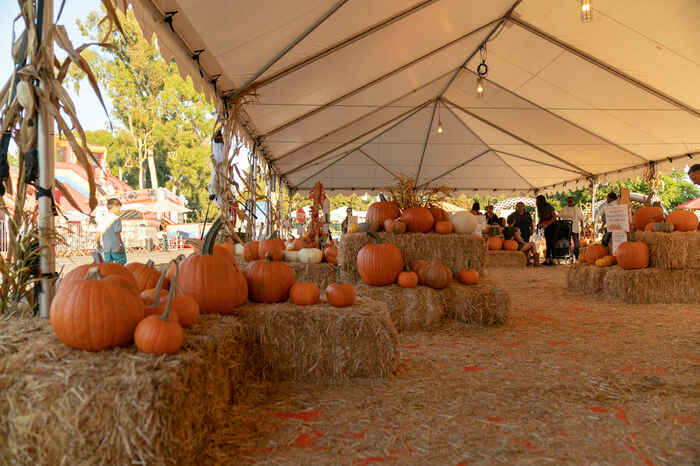Fallstivities Pumpkin Patch  - Kids activities in Orange, CA