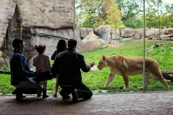 Oregon Zoo Camps and Classes - classes in Portland, OR