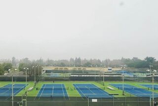 Provider image for Yolo Tennis Club