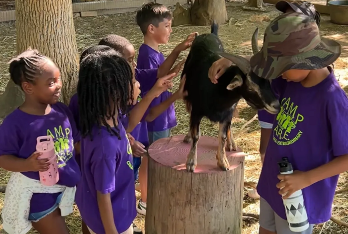 Three Birds Farm - Kids activities in Marietta, GA